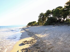 Ranta