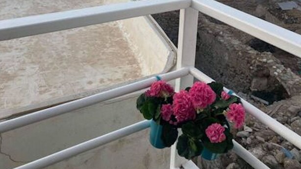 Een terras op het dak met uitzicht op zee, met een witte reling en een pot met roze bloemen.