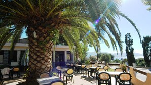 An outdoor patio with tables and chairs, a palm tree, and a view of the landscape.