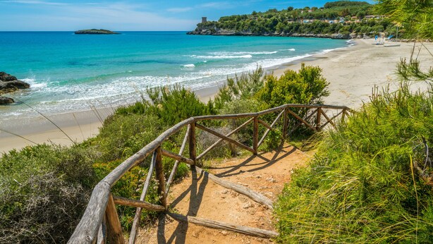 Ein Strand mit einer Holztreppe, die zum Ufer führt, umgeben von Grün und mit Blick aufs Meer.