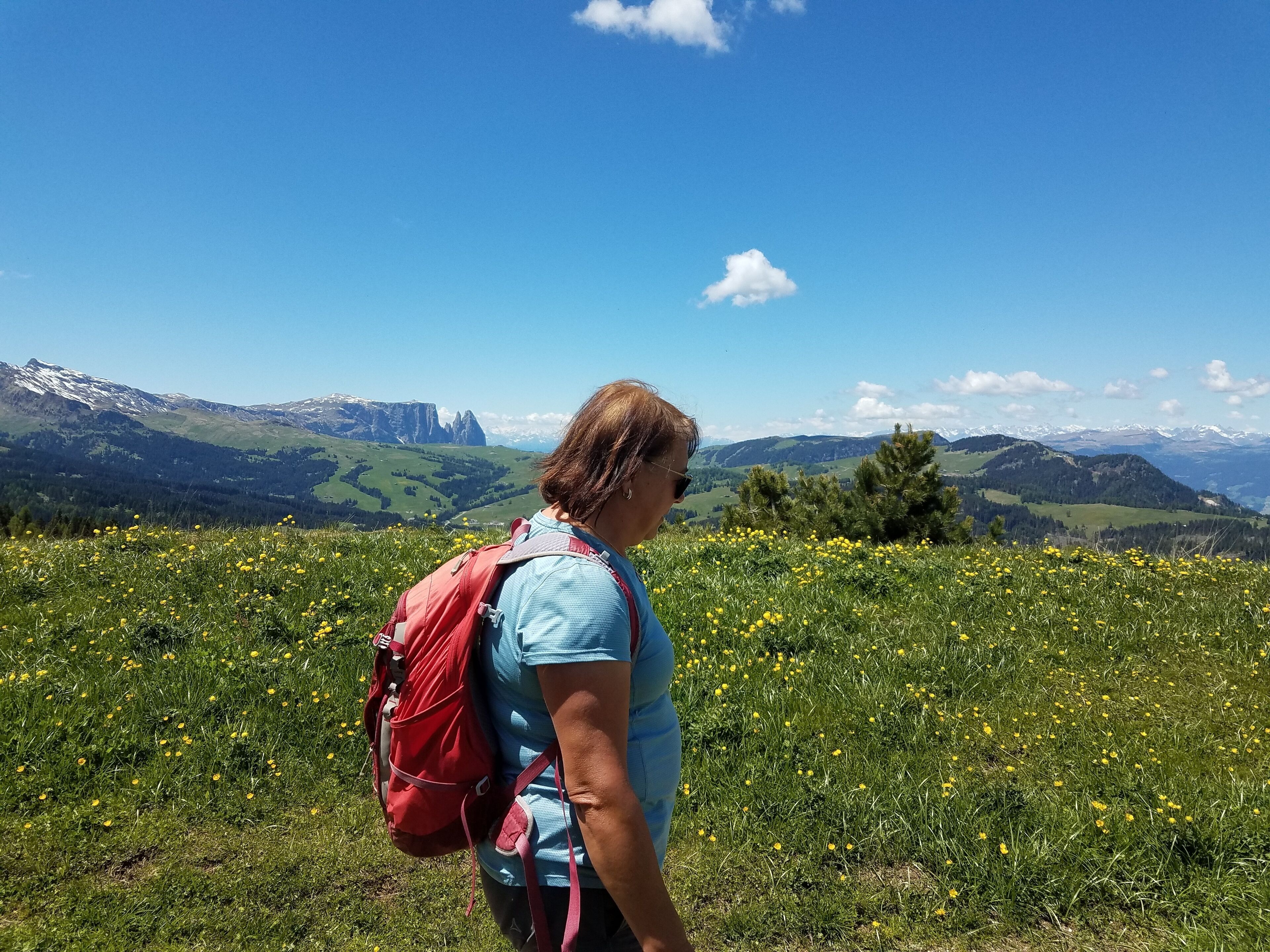 A person hiking with a red backpack in a field of yellow flowers, overlooking a mountainous landscape with snow-capped peaks.
