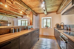 Fridge, oven, stovetop, dishwasher - Living in the old granary (Falkenstein/Harz)