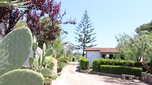 Een tuin met cactussen en een pad dat naar een gebouw leidt.