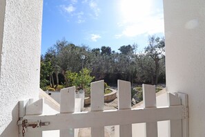 Property grounds - Montepulciano house in Torre Santo Stefano in Otranto 4 places (Otranto)