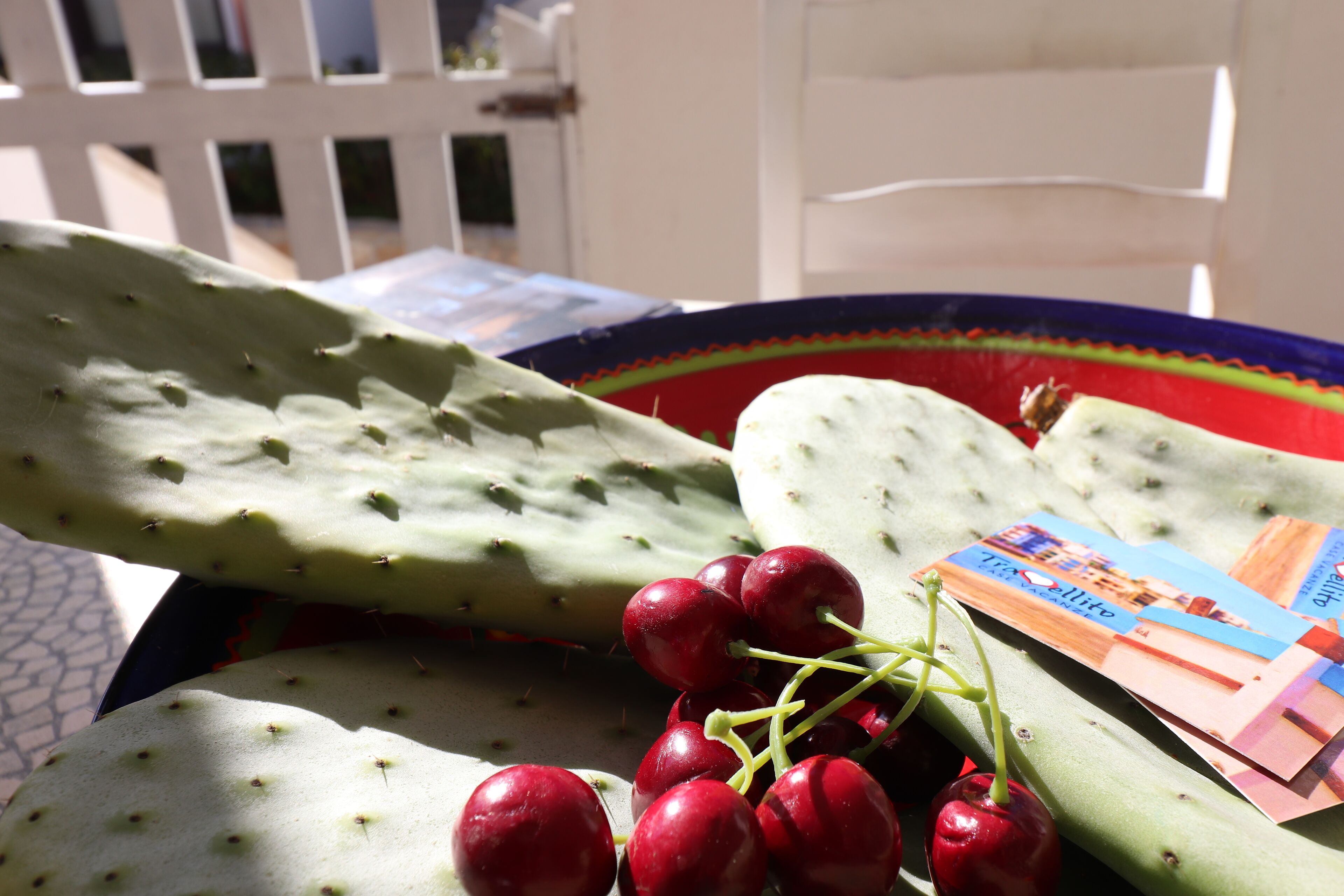 Un cactus con frutos rojos y un plato lleno de colores.