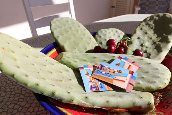 A cactus with a travel brochure on top.