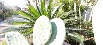 Negroamaro House Torre Santo Stefano Otranto