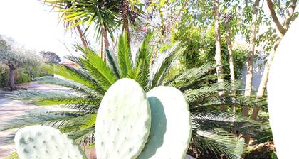 Casa Negroamaro Torre Santo Stefano Otranto