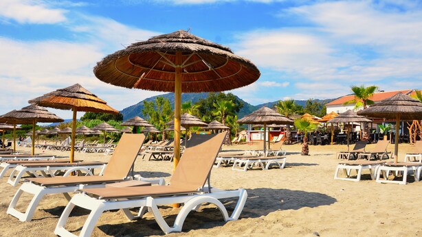 A beach with white lounge chairs and thatched umbrellas, a sandy beach, and palm trees.