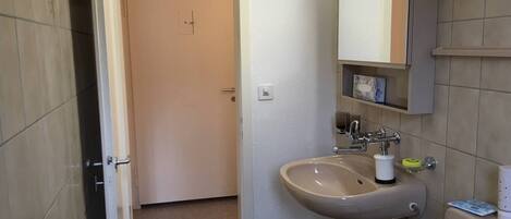 A bathroom with a sink, mirror, and toilet.