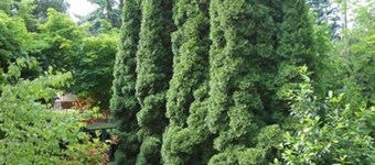 Cozy Family Cottage at the Lake Balaton