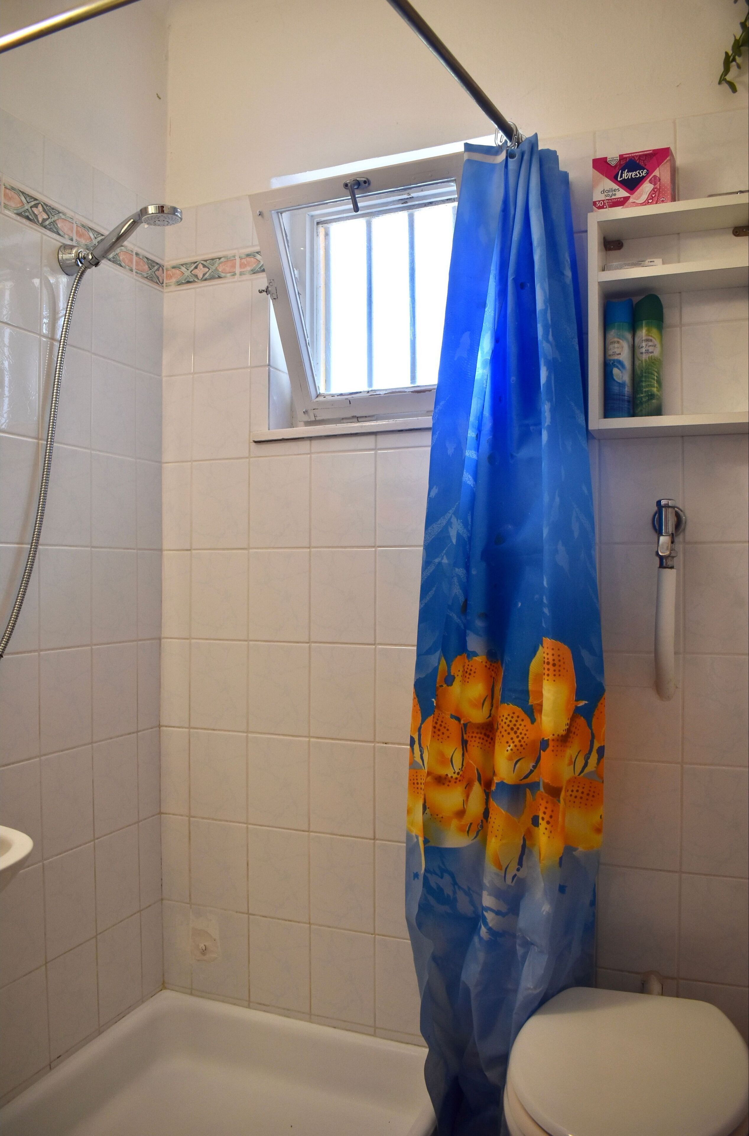 A bathroom with a shower, toilet, and a window.