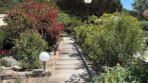 Un sentier en bois, bordé d’une végétation luxuriante et de plantes en fleurs, qui mène à une zone boisée.