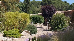 A garden with various plants and a small building. - Les Jardins De Santa Giulia - Charmante chambre d'hôte (Porto-Vecchio)