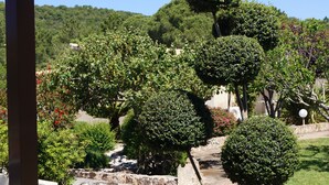 A well-maintained garden with neatly trimmed hedges and a stone pathway. - Les Jardins De Santa Giulia - Charmante chambre d'hôte (Porto-Vecchio)