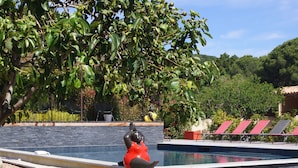 Una piscina con una scultura, immersa nel verde e circondata da un muro in pietra.