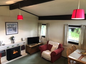 TV, fireplace, DVD player, books