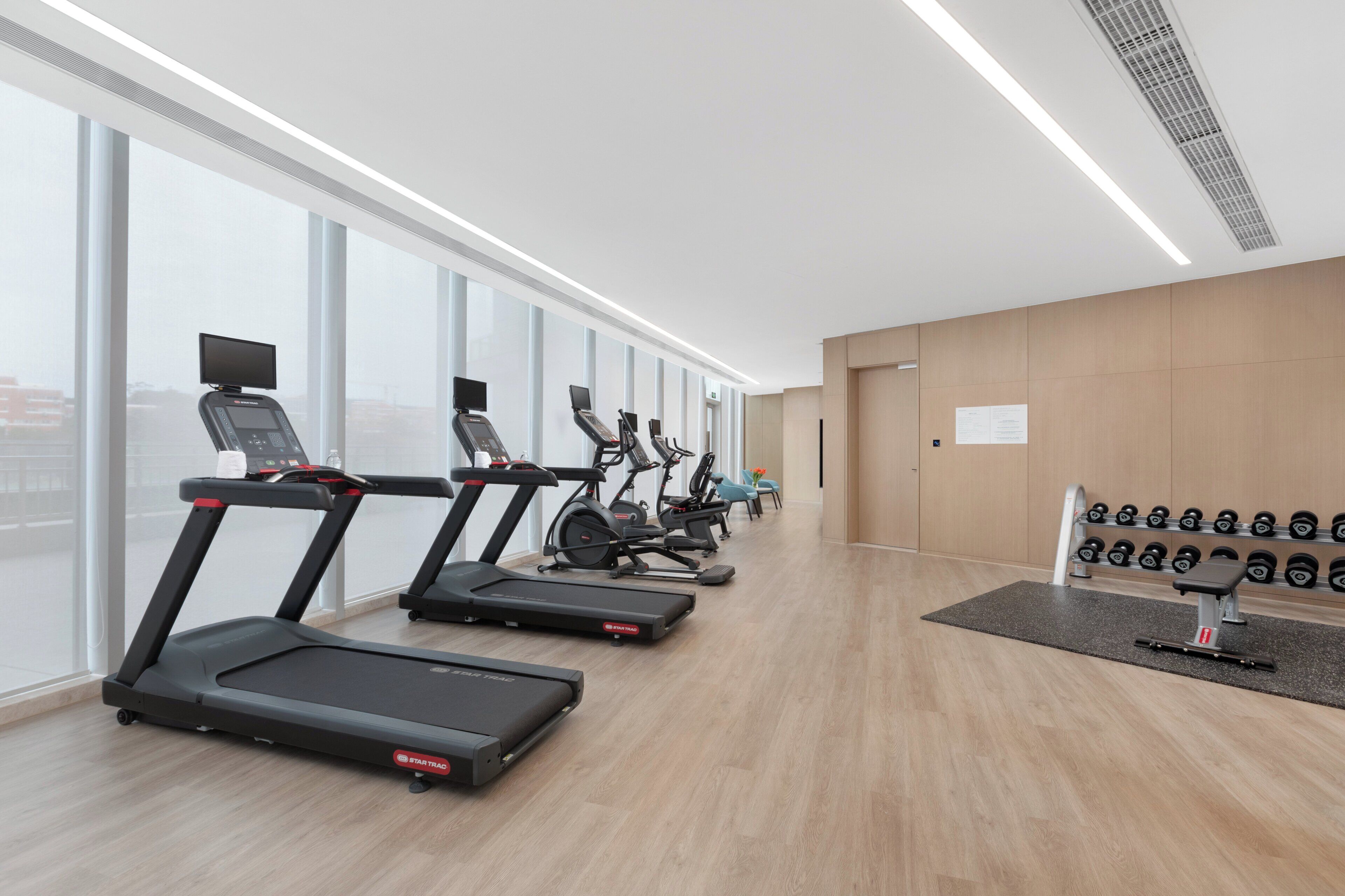Uma academia com esteiras, bicicletas ergométricas e halteres.
