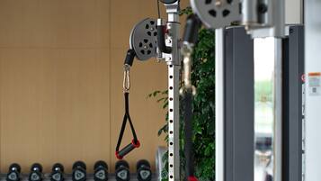 A gym with weightlifting equipment, dumbbells, and a plant.