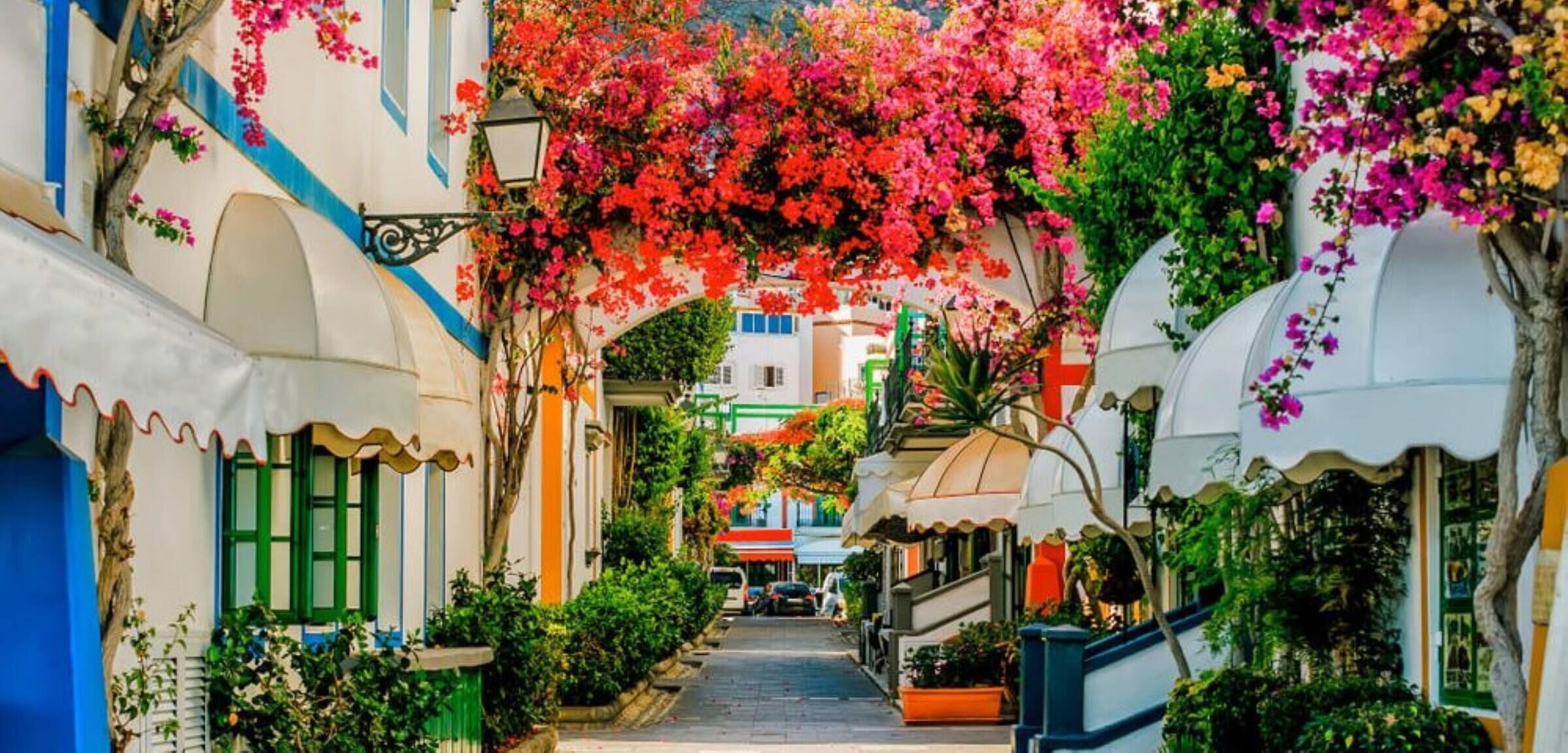 Une rue étroite bordée de bâtiments aux couleurs vives, recouverte de plantes grimpantes en fleurs et caractérisée par une architecture traditionnelle.
