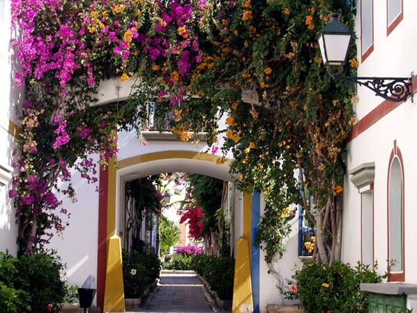 Un arco cubierto de coloridas flores de buganvilla que da a una calle.