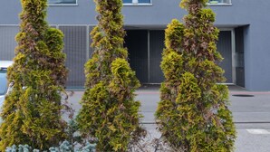 Un edificio moderno de varios pisos con fachada plana, amplias ventanas y un balcón en el piso superior.