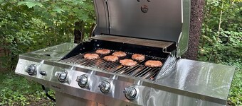 Cozy Historical Riverside Cottage on Salmon River - King and Queen Beds