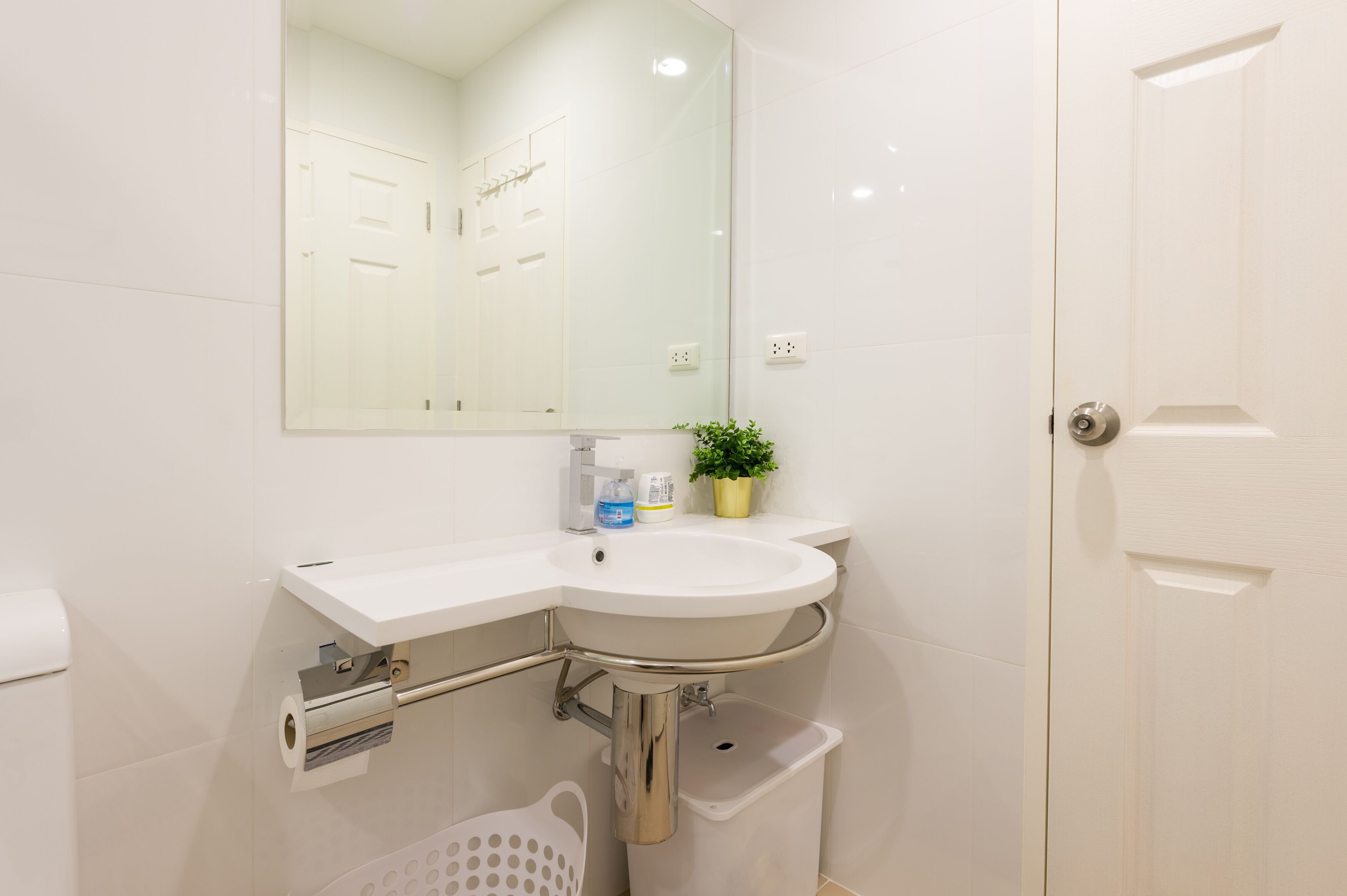 A bathroom with a white sink, mirror, and a potted plant on the counter.