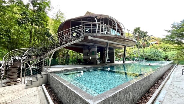 Une piscine dotée d’un espace couvert et d’un escalier menant à l’eau, le tout entouré de verdure.