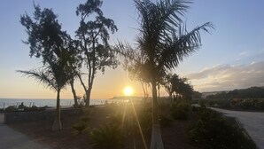 Panorama al tramonto con alberi e un vialetto lastricato.