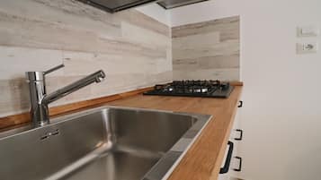 Fridge, stovetop, cookware/dishes/utensils