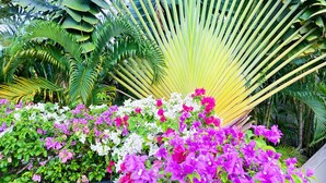 A lush garden with a variety of tropical plants and vibrant flowers. - Luxe 2br Pool Villa walk to Bangtao Beach (Tambon Choeng Thale)