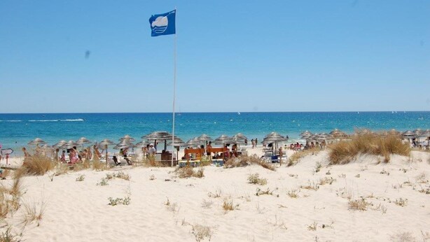 A beach with thatched umbrellas and people relaxing. - Cabanas T1 Apartment with Balcony & BBQ – 8min Walk to Beachfront (Faro)