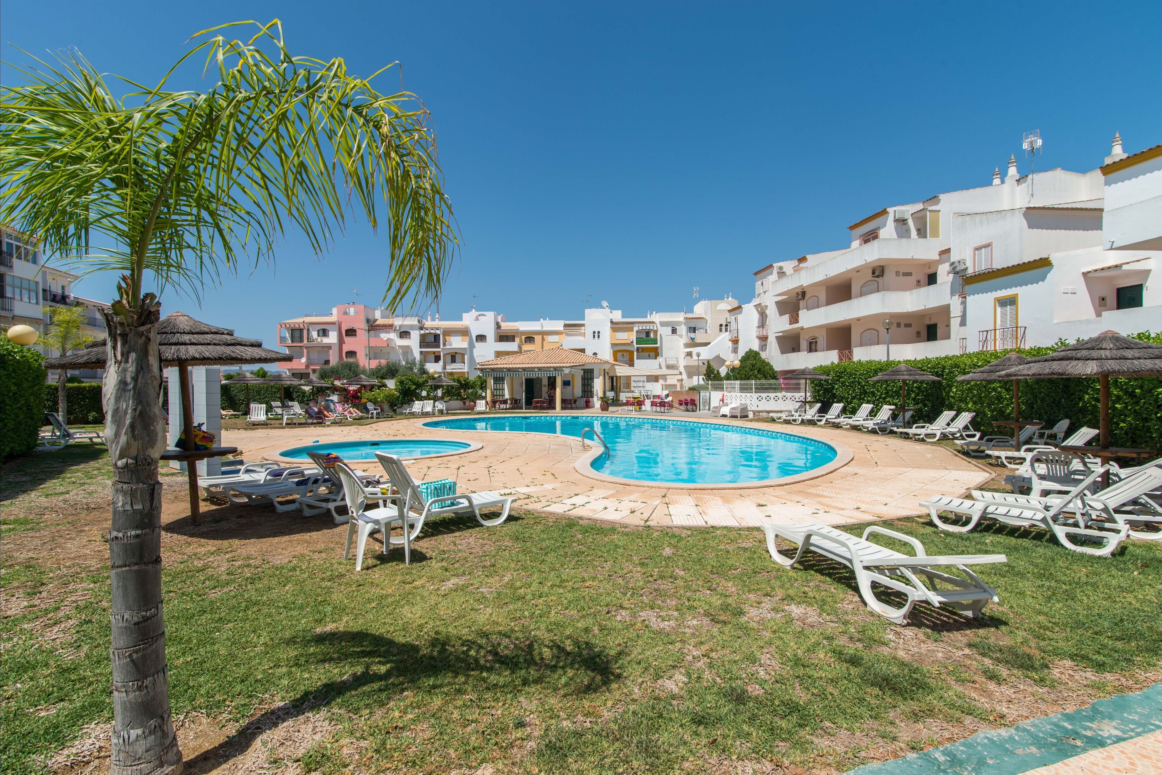 A swimming pool area with lounge chairs and a palm tree.