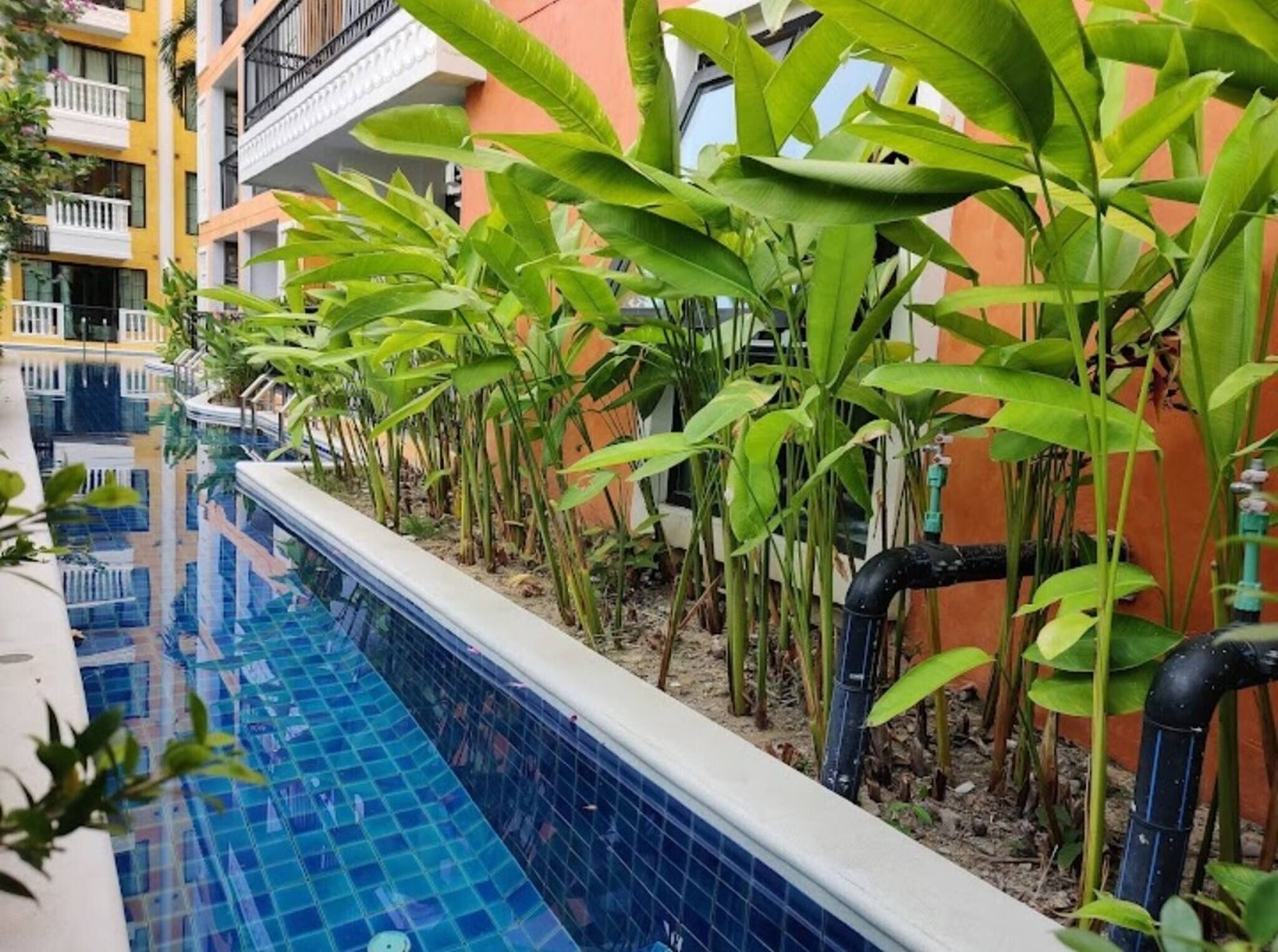 Una piscina con baldosas azules cristalinas, rodeada de exuberante follaje y un edificio con balcones.
