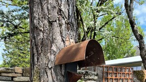 A rustic mailbox attached to a tree, a stone wall, and a metal gate. - Les Cabanes Insolites del Traouc (Bozouls)