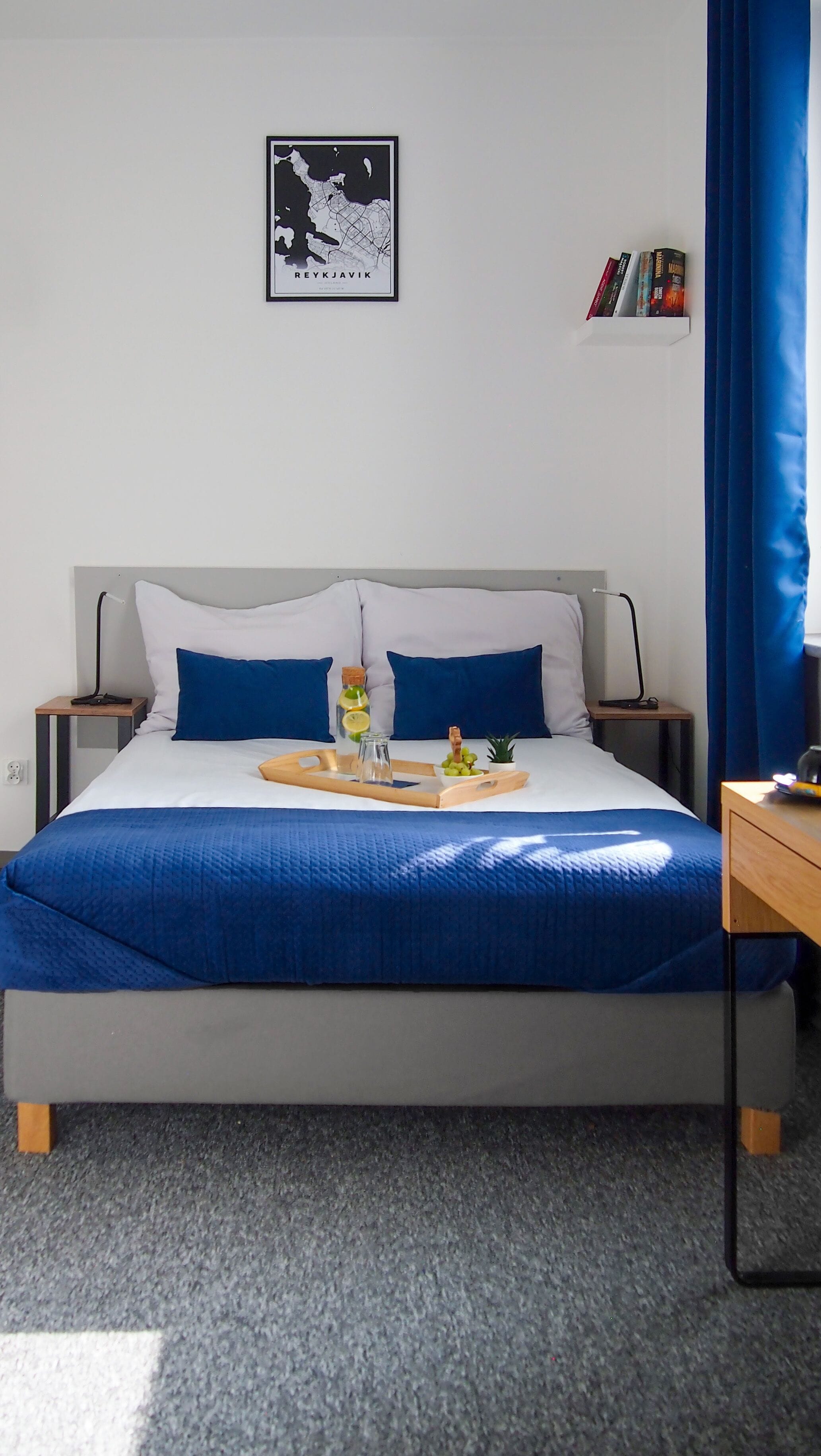 standard double room | 1 bedroom, hypo-allergenic bedding, pillow-top beds, desk