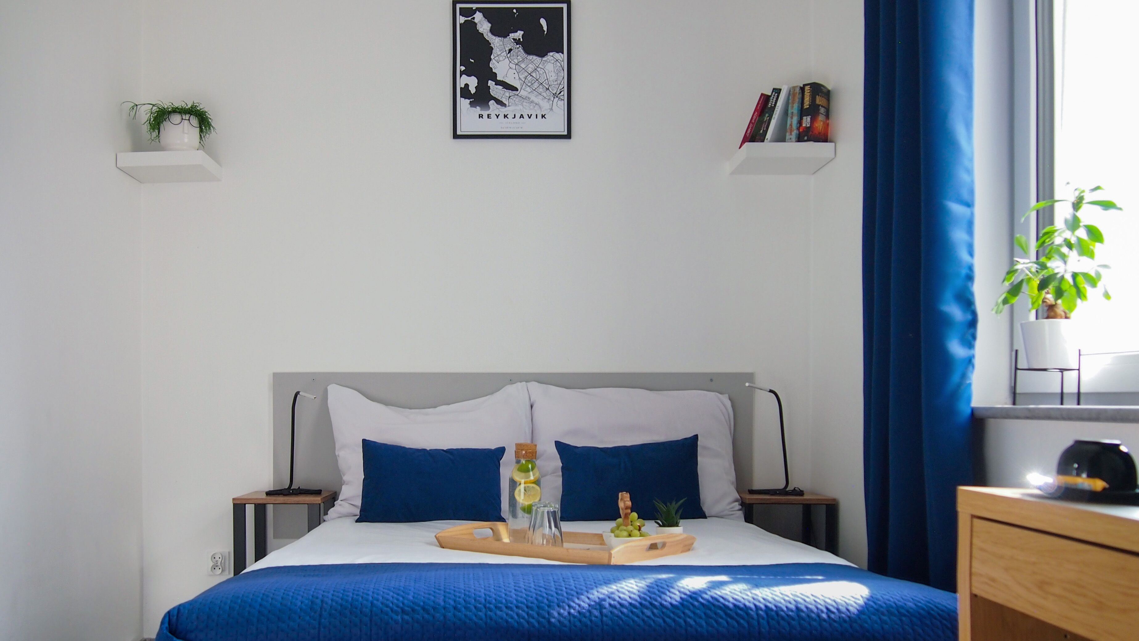 standard double room | 1 bedroom, hypo-allergenic bedding, pillow-top beds, desk