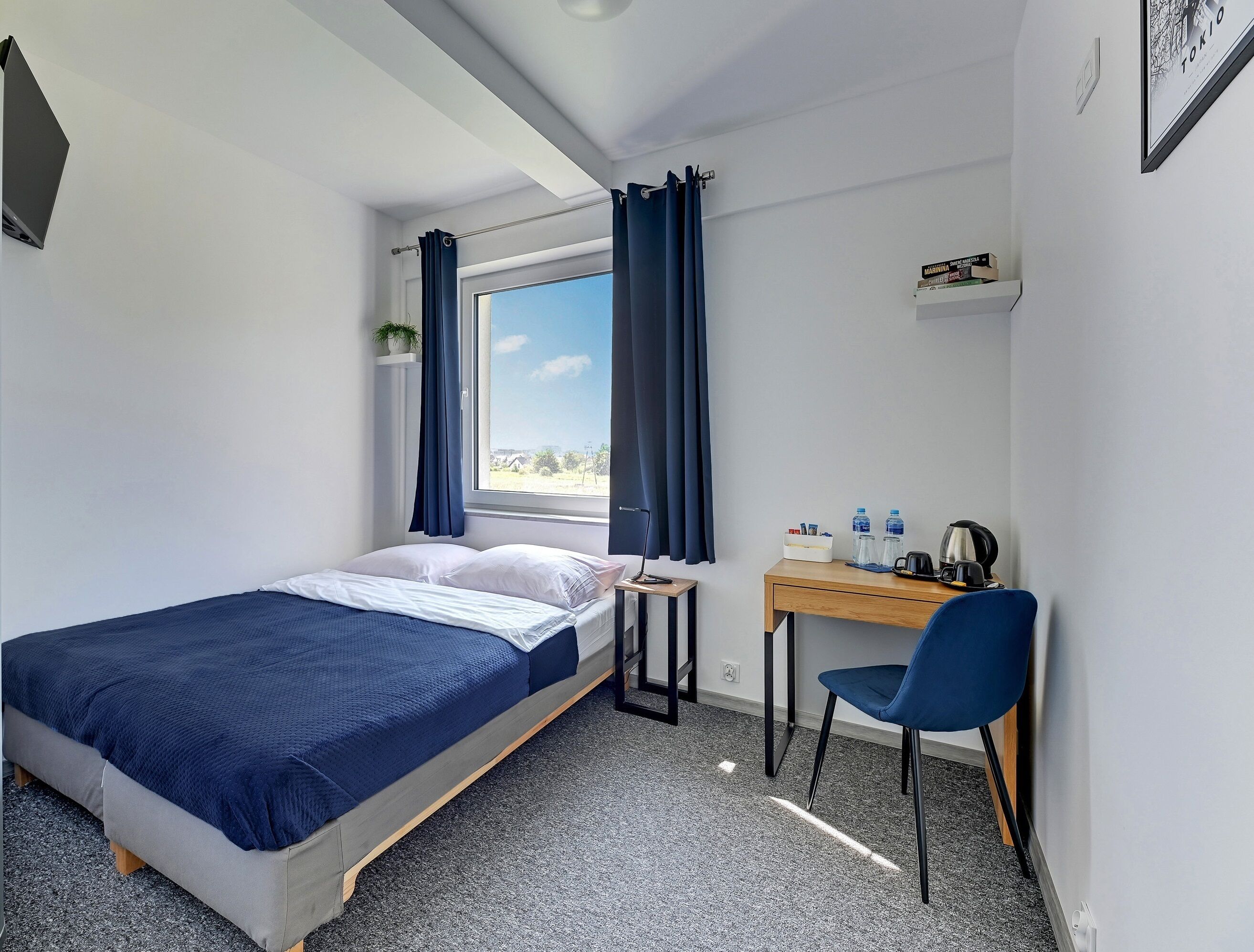 standard double or twin room | 1 bedroom, hypo-allergenic bedding, pillow-top beds, desk