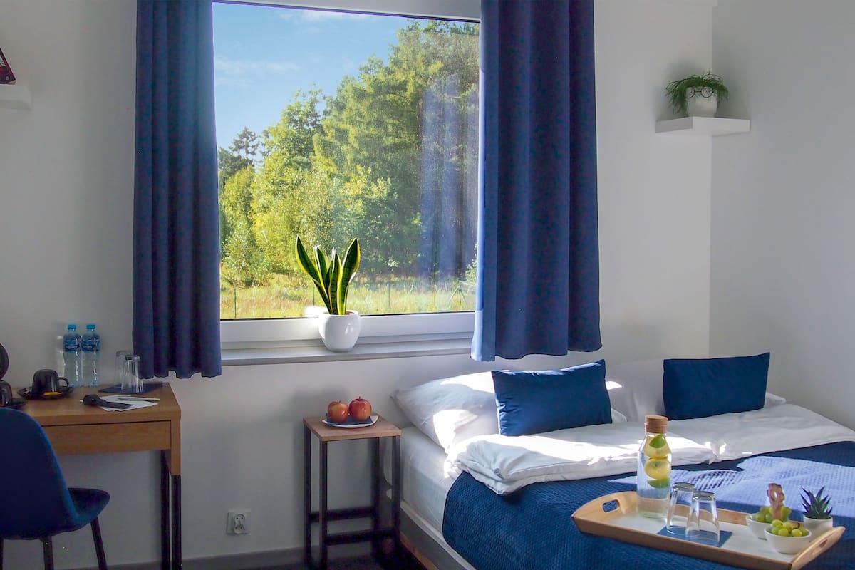 standard double room | 1 bedroom, hypo-allergenic bedding, pillow-top beds, desk