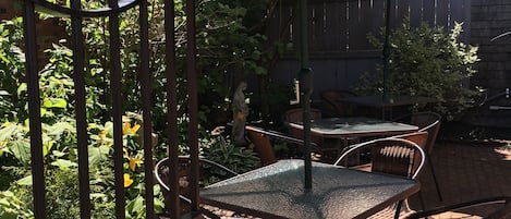 Un patio exterior con una mesa y sillas bajo un paraguas verde, rodeado por una cerca metálica y follaje.