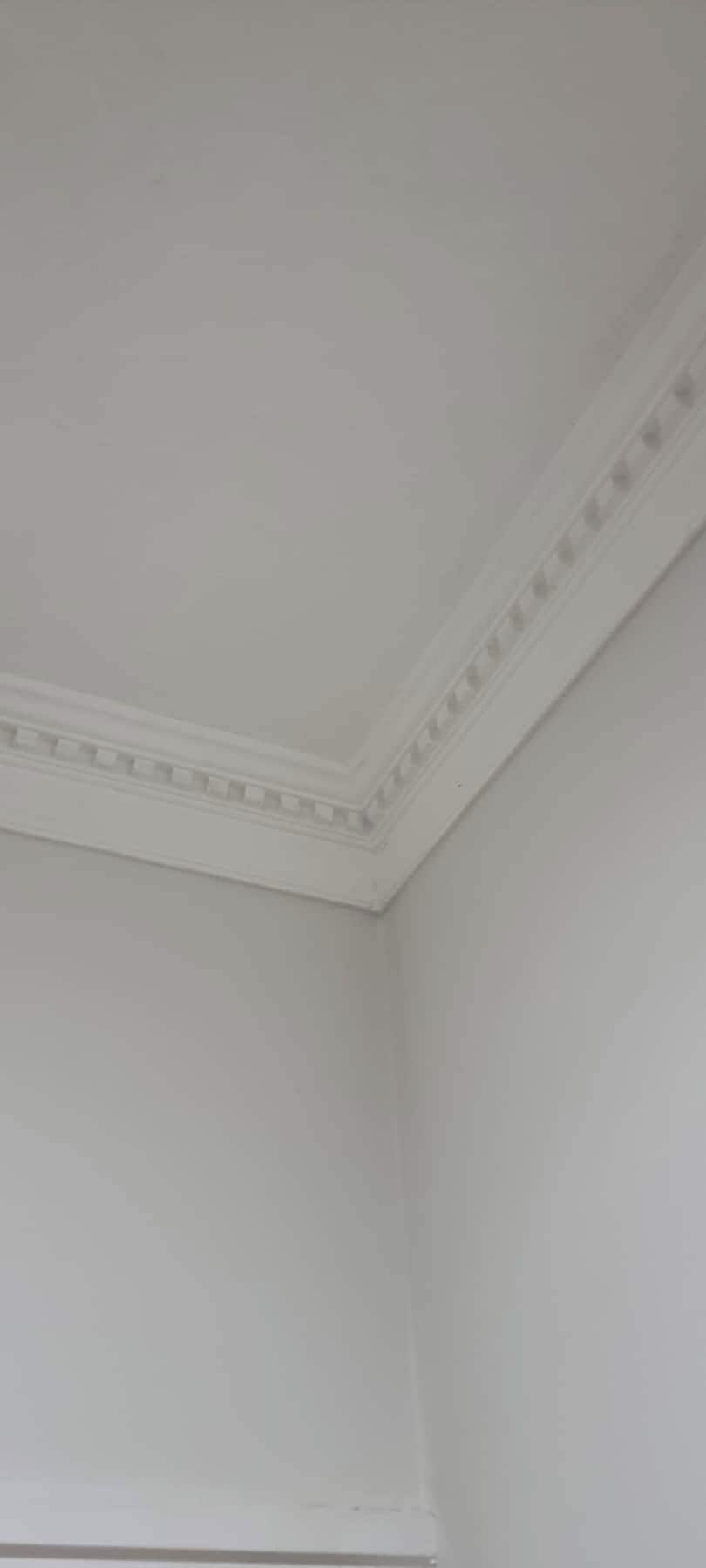 Eine Ecke eines Zimmers mit schlichter Decke und dekorativer Leiste entlang des Deckenrandes.