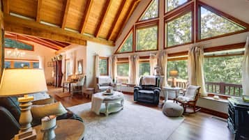 TV, fireplace, books