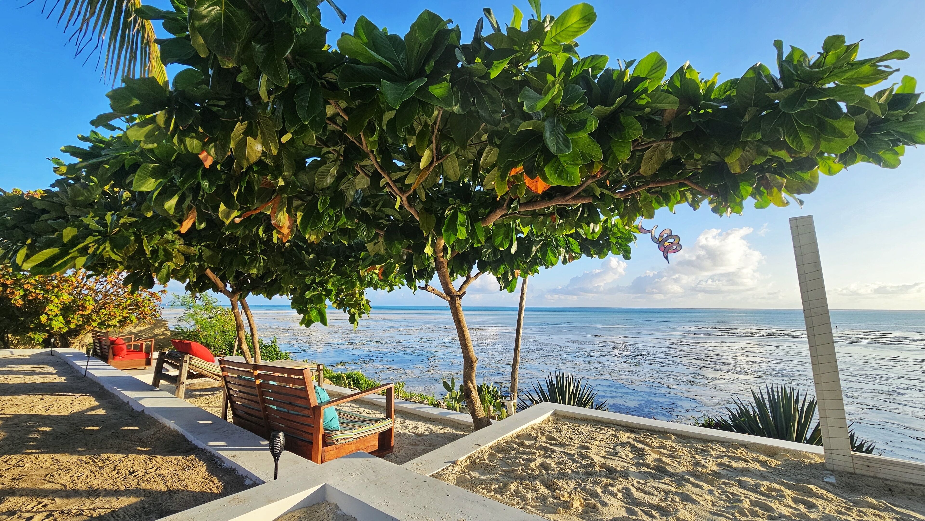 A beachside seating area with wooden benches and a view of the ocean.