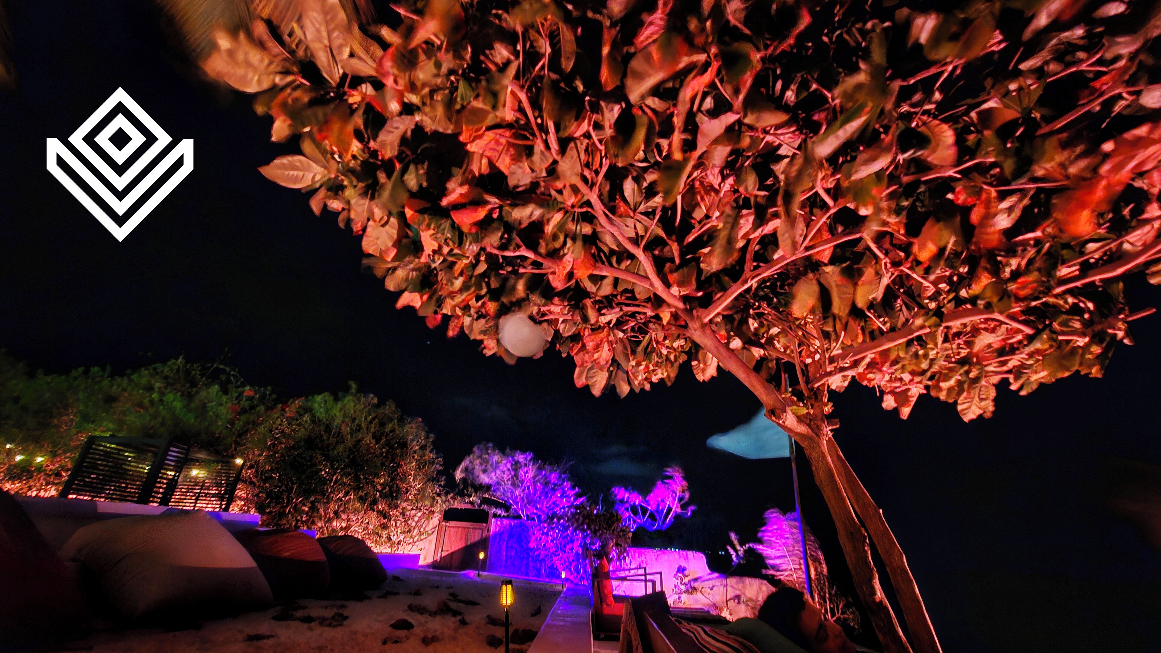 A nighttime outdoor area with a tree illuminated by purple lights, a pathway, and some seating arrangements.