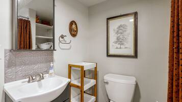 A bathroom with a white sink, a toilet, a mirror, and a framed botanical illustration on the wall.