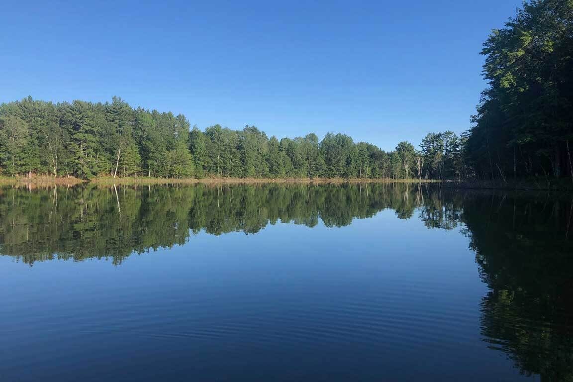 A calm lake with dense forest on both sides.