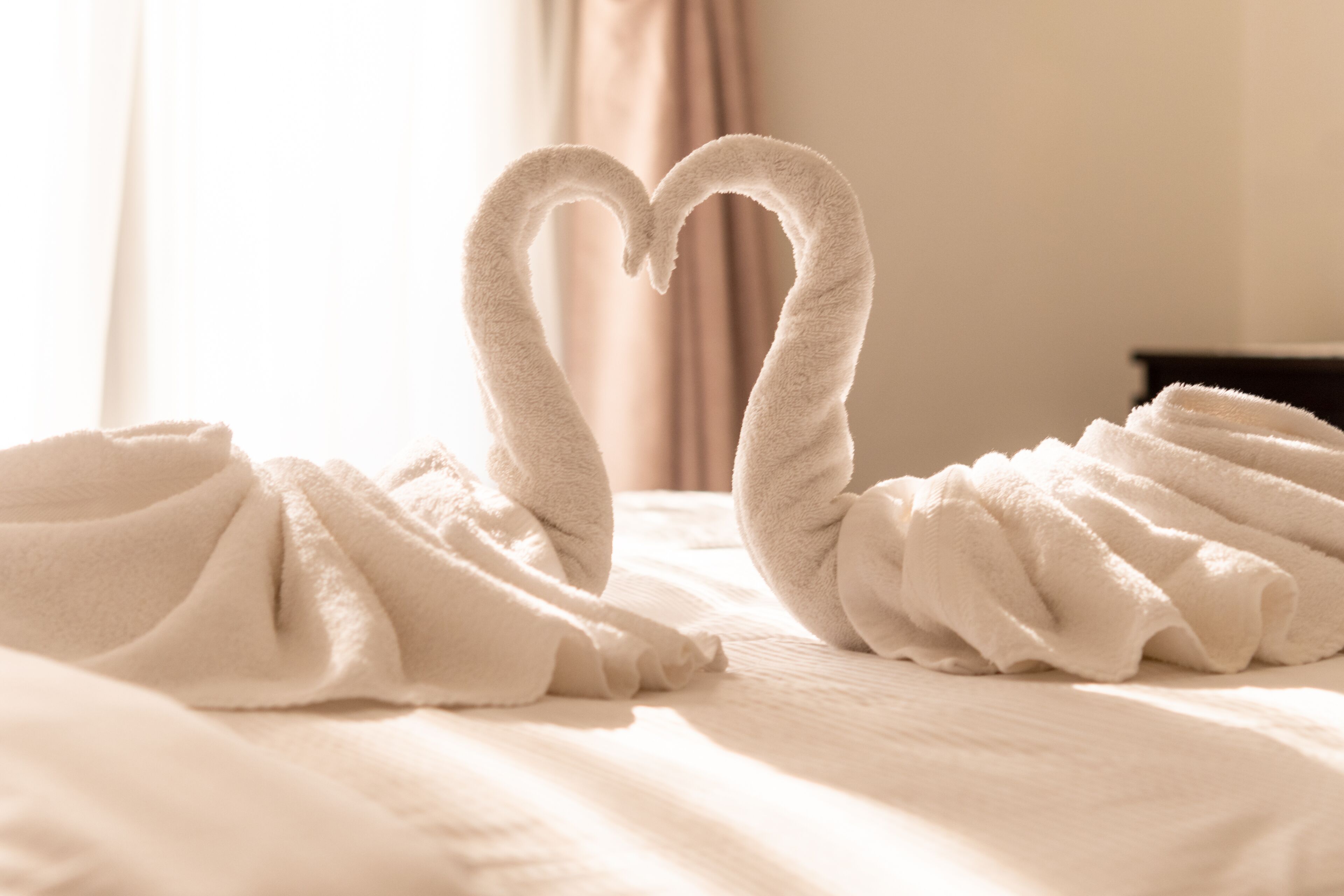 Photo - Safari House Suite