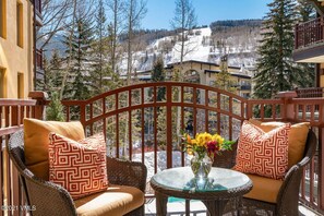 Property grounds - Premier Vail Village Residence
 (Vail)