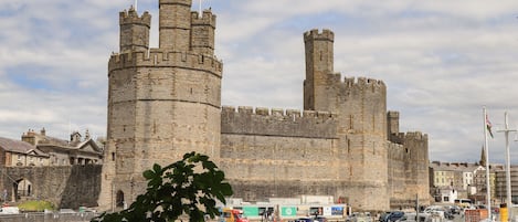 Un château historique en pierre, doté de nombreuses tours et entouré de douves.